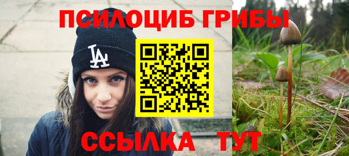 Рыбинск  Псилоцибиновые грибы мухоморы  где купить наркоту  Вход с VPN  Галлюциногенные грибы GOLDEN TEACHER 